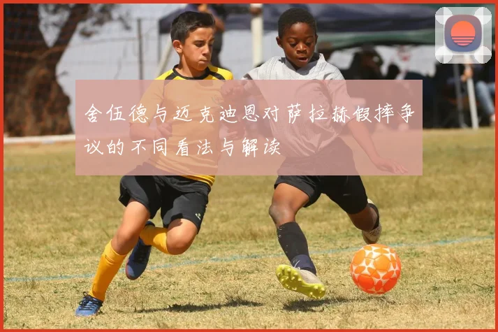 舍伍德与迈克迪恩对萨拉赫假摔争议的不同看法与解读