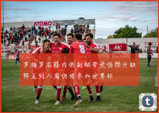 罗梅罗右膝内侧副韧带受伤预计缺阵五到八周仍将参加世界杯