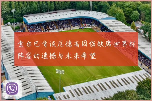 索尔巴肯谈厄德高因伤缺席世界杯阵容的遗憾与未来希望