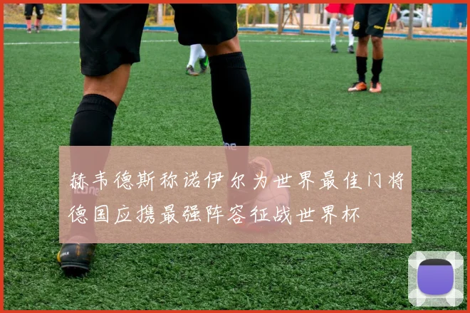 赫韦德斯称诺伊尔为世界最佳门将德国应携最强阵容征战世界杯